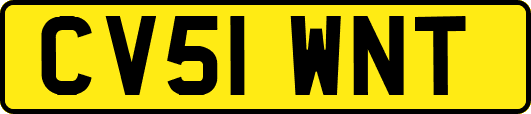 CV51WNT