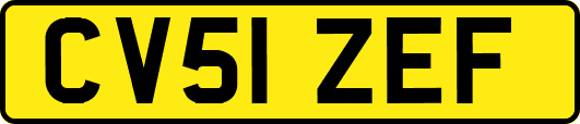 CV51ZEF