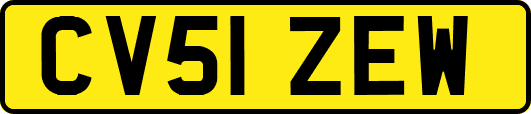 CV51ZEW