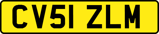 CV51ZLM
