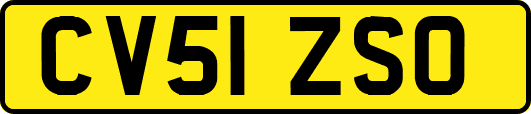 CV51ZSO