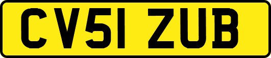 CV51ZUB