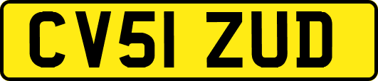 CV51ZUD