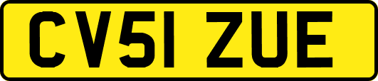 CV51ZUE