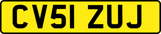 CV51ZUJ