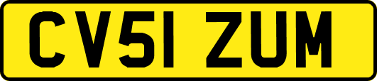 CV51ZUM