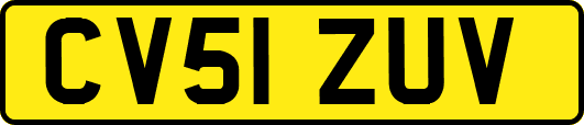 CV51ZUV