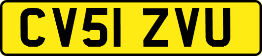 CV51ZVU