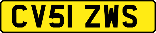 CV51ZWS