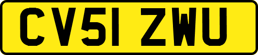 CV51ZWU