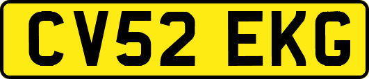 CV52EKG