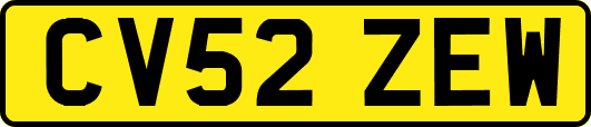 CV52ZEW