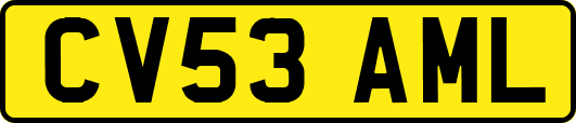 CV53AML