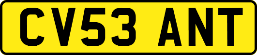 CV53ANT