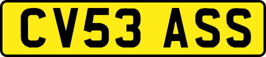 CV53ASS
