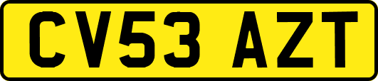 CV53AZT
