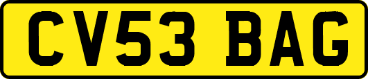 CV53BAG