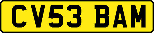 CV53BAM