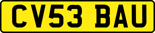 CV53BAU