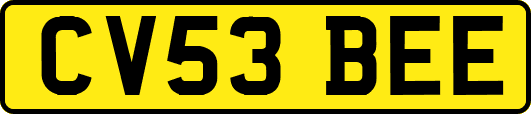 CV53BEE