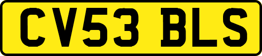 CV53BLS