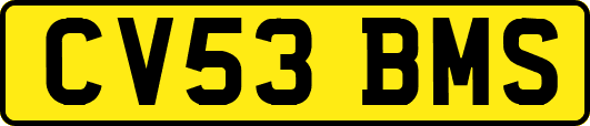 CV53BMS