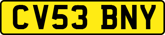CV53BNY