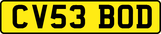 CV53BOD