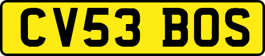 CV53BOS