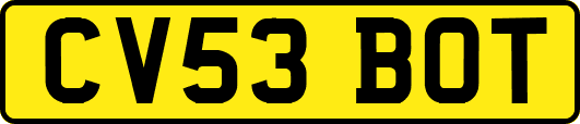 CV53BOT