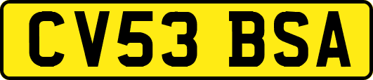 CV53BSA