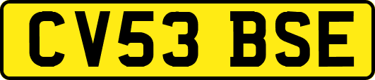 CV53BSE
