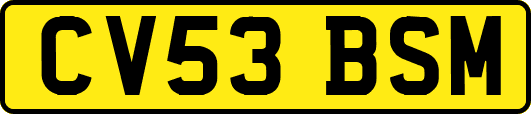 CV53BSM