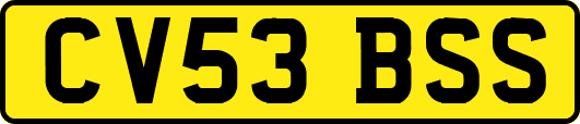 CV53BSS