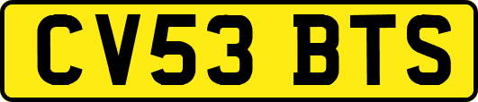 CV53BTS