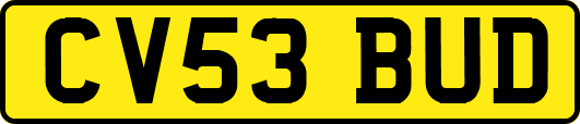 CV53BUD
