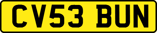 CV53BUN