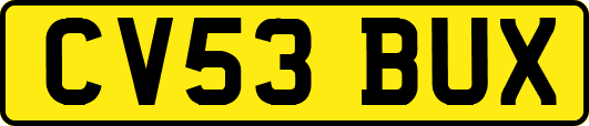 CV53BUX