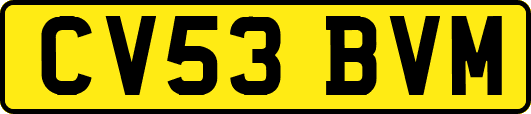 CV53BVM