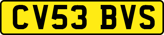 CV53BVS