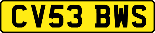 CV53BWS