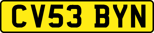 CV53BYN