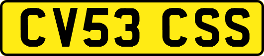 CV53CSS