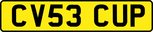 CV53CUP