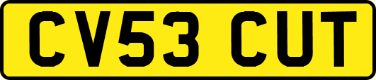 CV53CUT