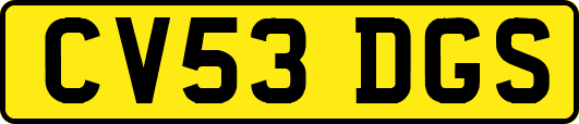 CV53DGS