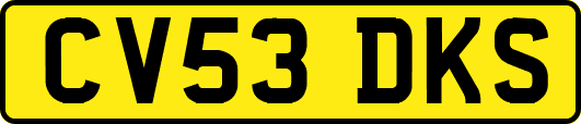 CV53DKS