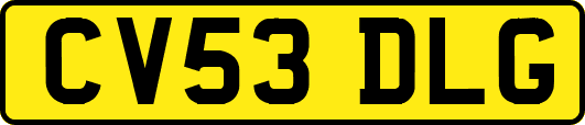 CV53DLG