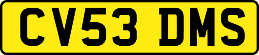 CV53DMS