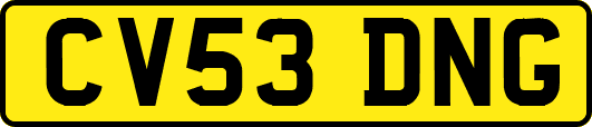 CV53DNG